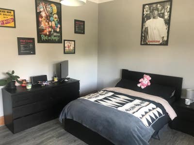 Short-Term Room Let in Central Edinburgh  Main Photo
