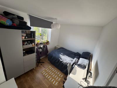 Double room in Stepney  Main Photo