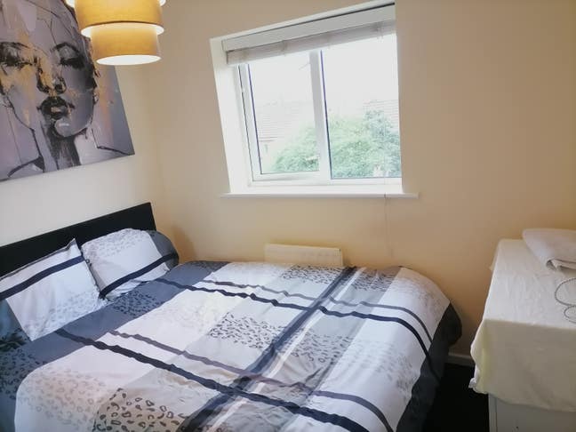 One room for a student/professional  Main Photo