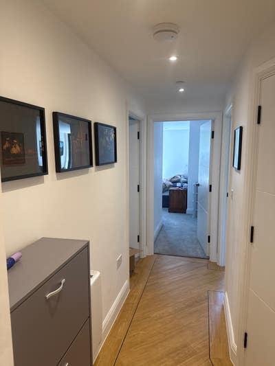 Looking for a Chill, fun flatmate  Main Photo