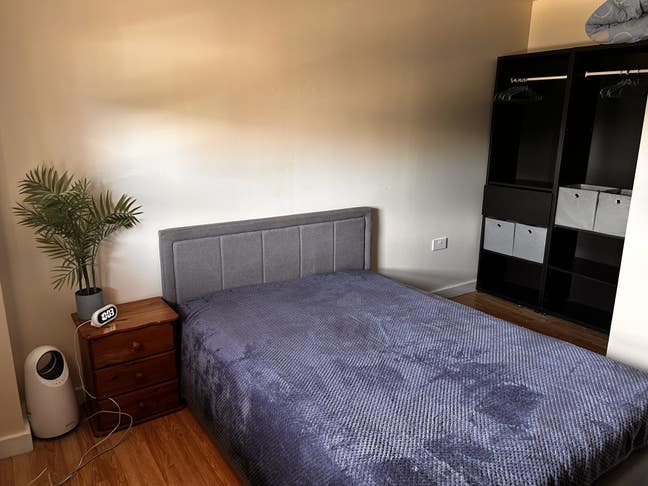 A spacious room for a female in great location  Main Photo