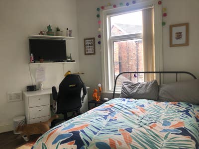 Double bedroom in house with cute cats  Main Photo