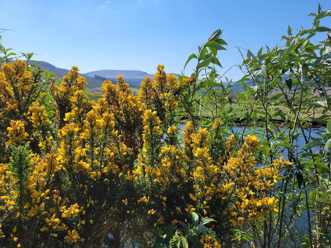 Idyllic Lochside Flat Main Photo