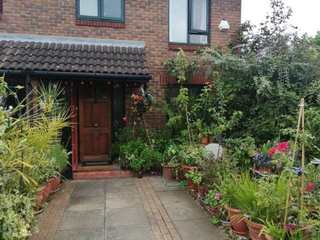 Double Room in Fulham Cross/ Barons Court Main Photo