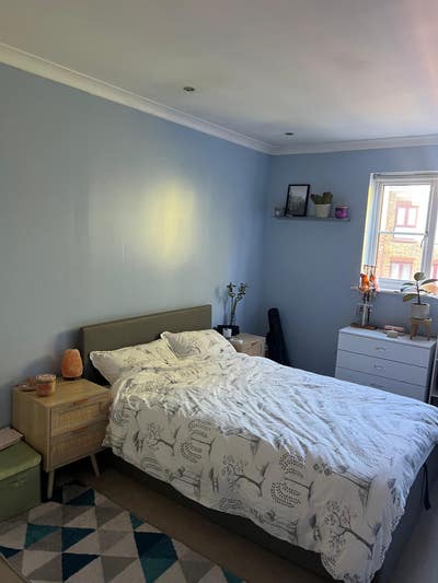Large Double Room w/ own bathroom on Brixton Hill Main Photo