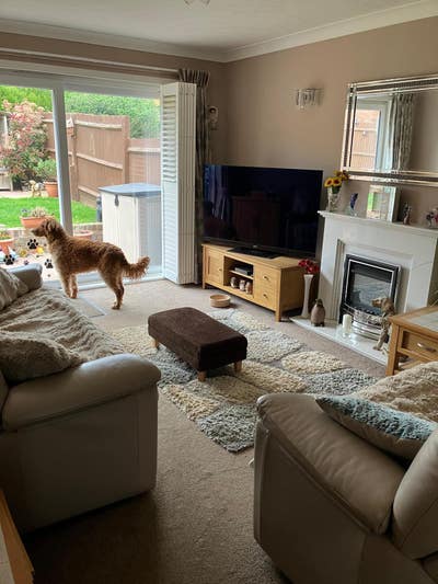 Share a Home in Peacehaven Main Photo