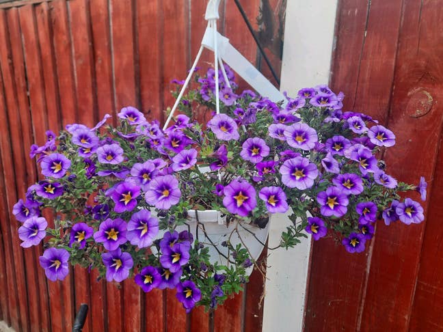 Kickstarting a great house share in Walthamstow Main Photo