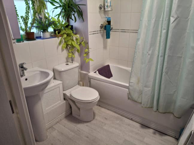 Good-sized single furnished room Main Photo