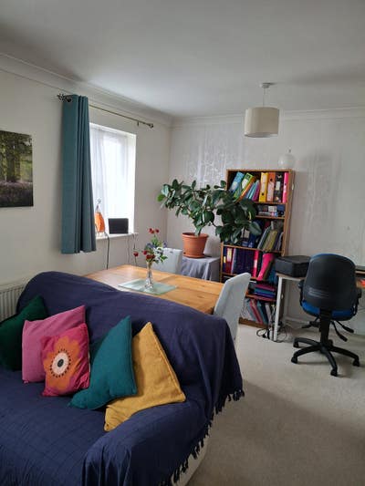 Good-sized single furnished room Main Photo
