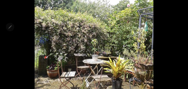Lovely double room in Haslemere ,  Main Photo