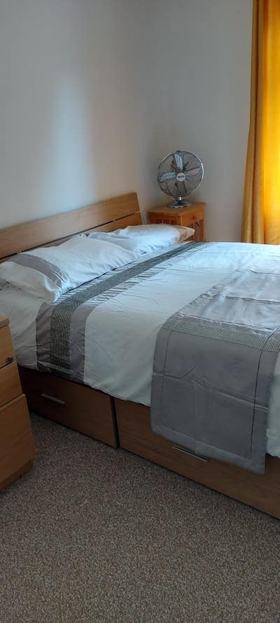 Male or female preference  Main Photo