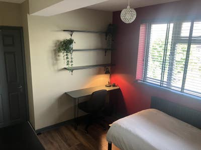 Sunny Newly decorated Room all bills incl.  Main Photo