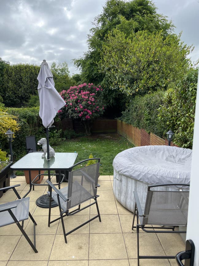 Cosy friendly house share Bangor if you like Dogs  Main Photo