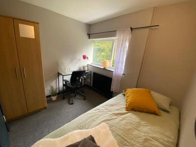 ⭐Cozy Room with Garden I Hatfield I Bills included Main Photo