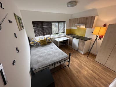 Bright & Fully Furnished Studio Apartment Main Photo