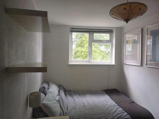 New flatmate for our flat in lovely Muswell Hill. Main Photo