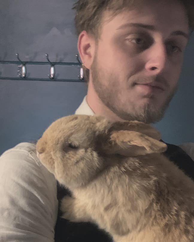 Kodi & the buns 🐰 Main Photo