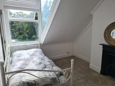 Sunny newly renovated single room Main Photo