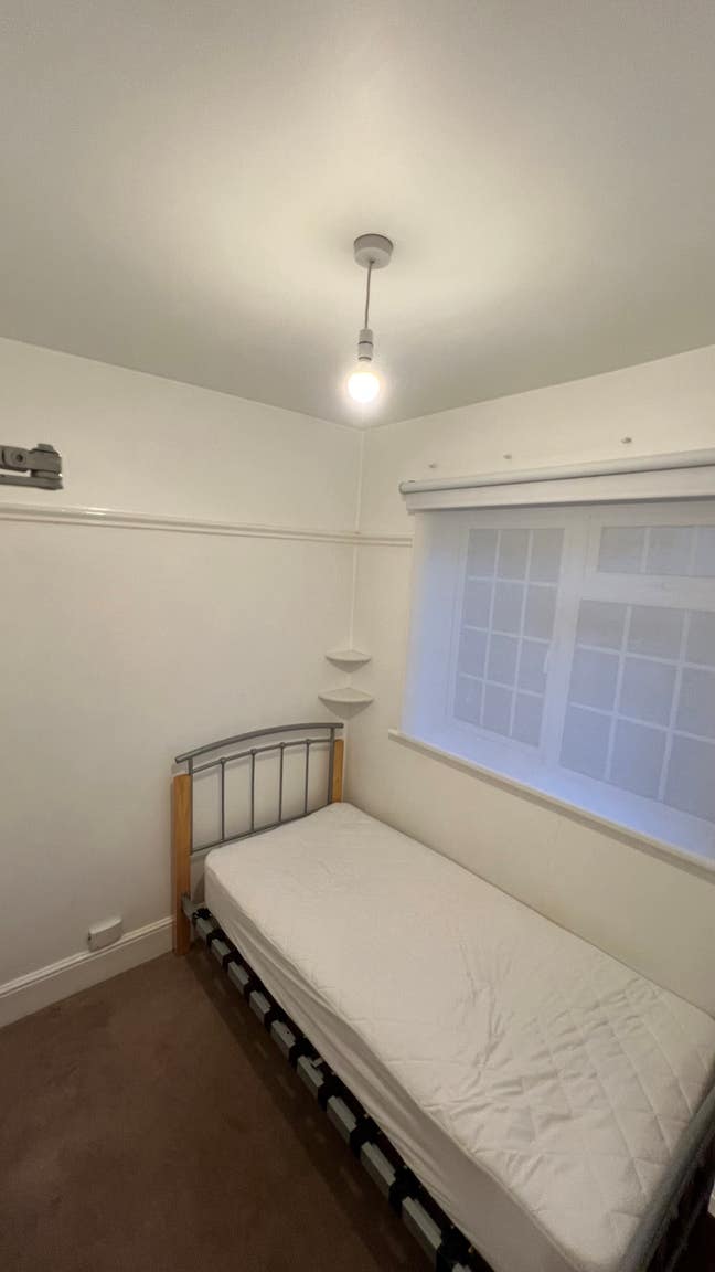 Bright Single Room  Main Photo