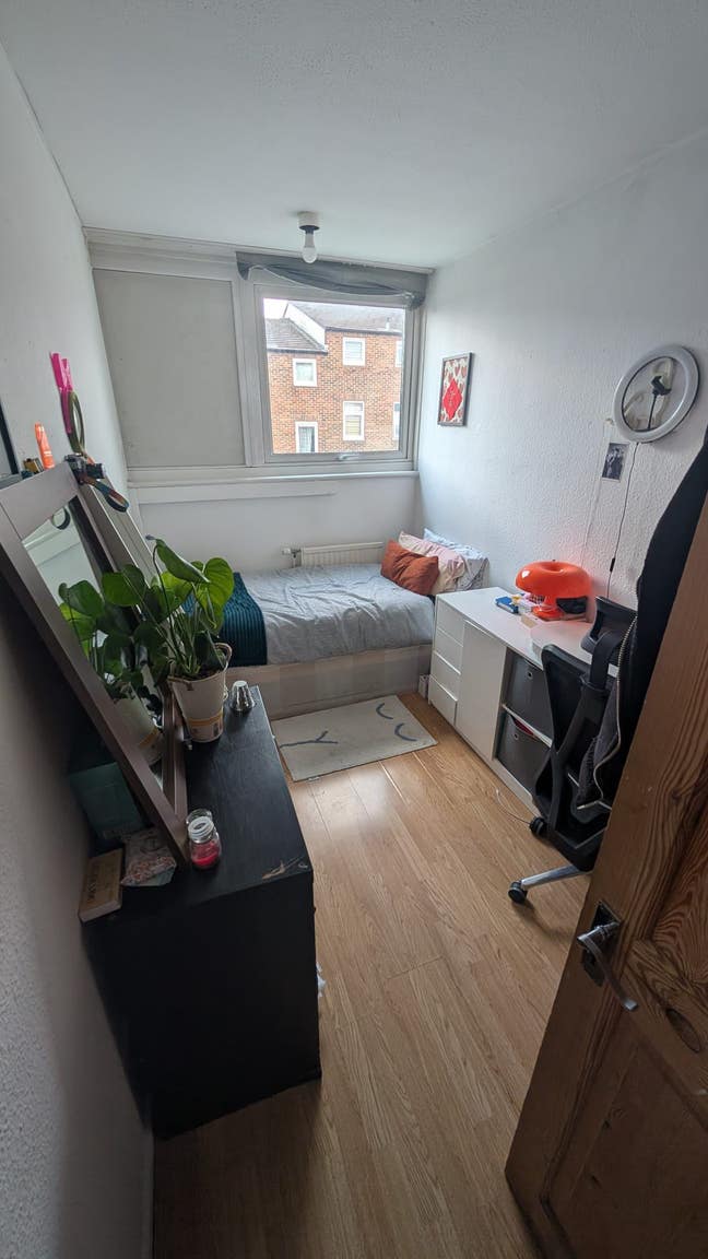 Single Room Wood green  Main Photo
