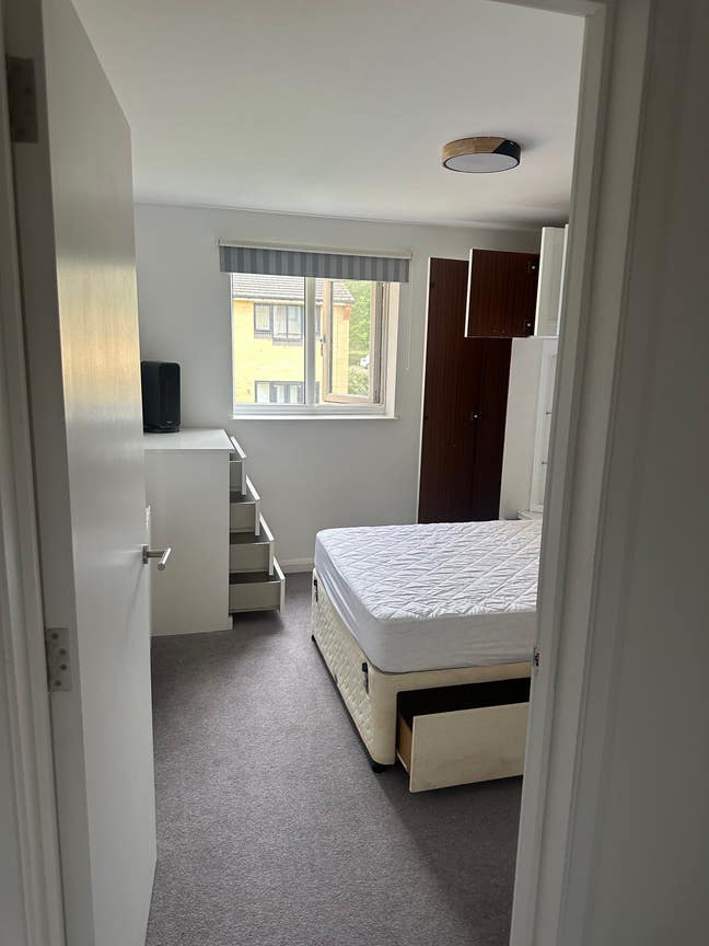 Room for Female in Clean, Sociable Home (with Dog) Main Photo