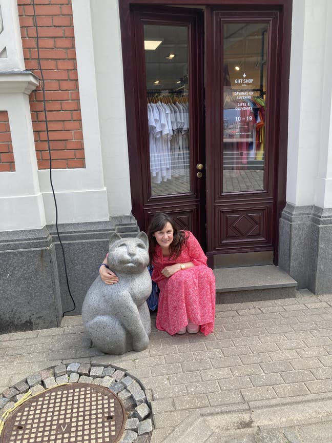 Clean & tidy, South West London Main Photo