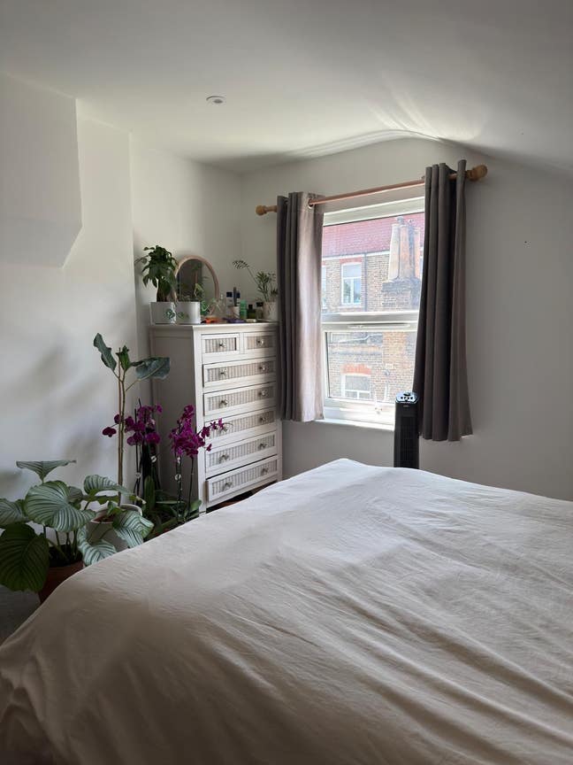 Looking for a new housemate!  Main Photo