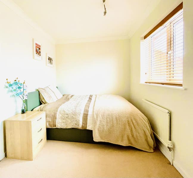 Quiet Double Room for One Lodger Only Main Photo