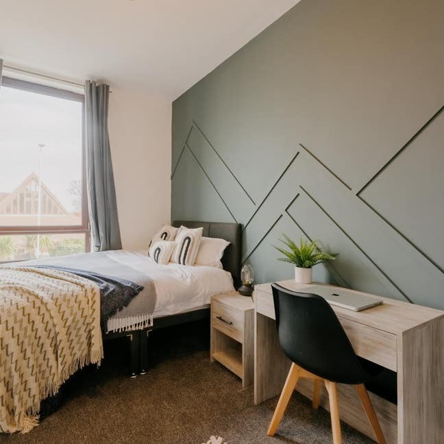 Double Bedroom in New Brighton–1st Month Rent HALF Main Photo