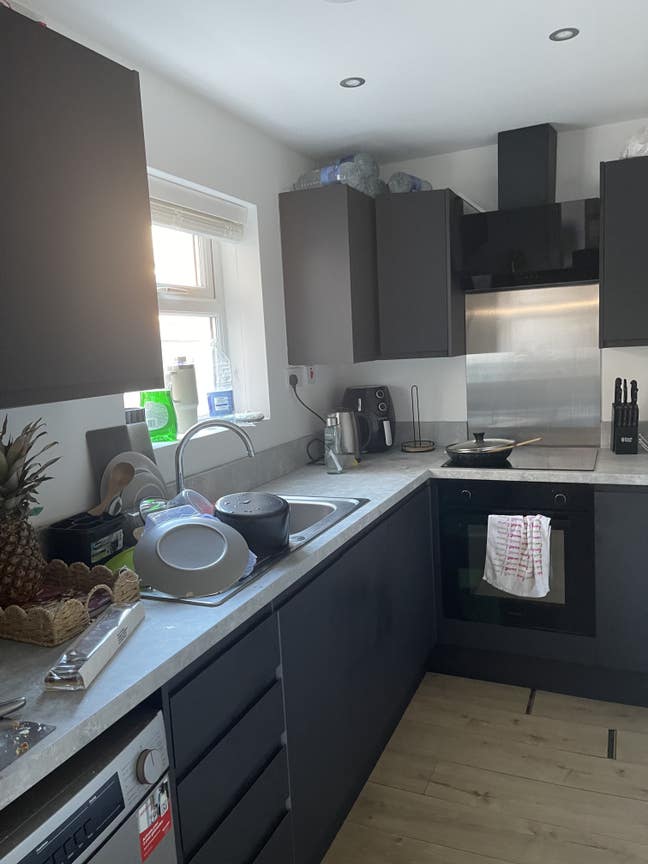 Newly Renovated Rooms Available Main Photo