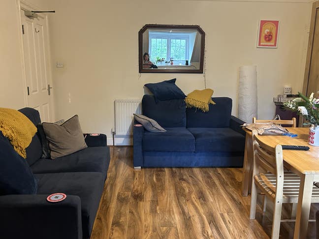 En-suite double sharing with female professionals Main Photo