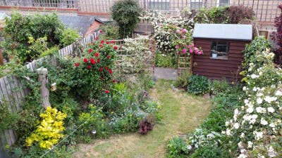 Three Bedroom house available for rent Main Photo