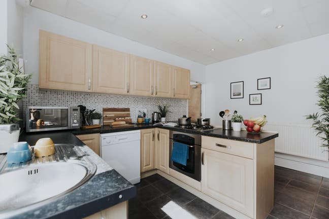 🌟Friendly Professional House, Easy City Access🌟 Main Photo