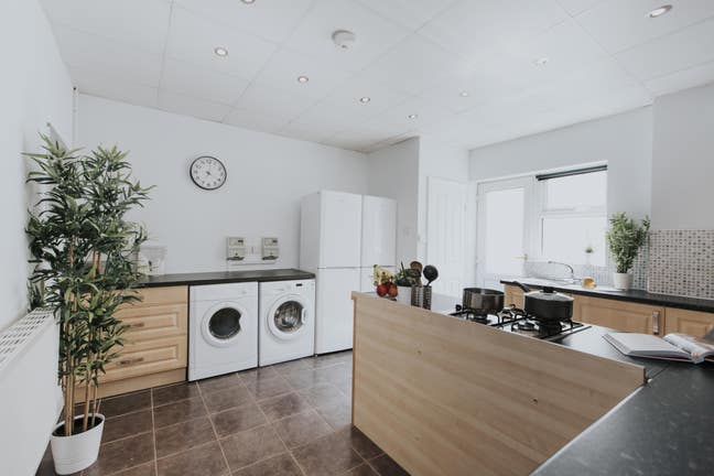 🌟Friendly Professional House, Easy City Access🌟 Main Photo