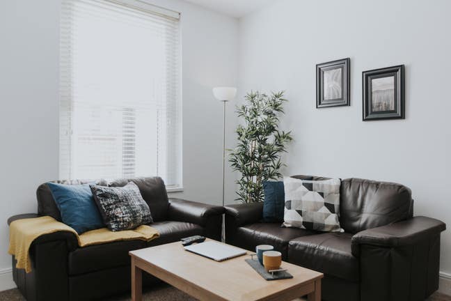 ✨ Comfortable, Friendly Home ✨ Great City Links ✨ Main Photo