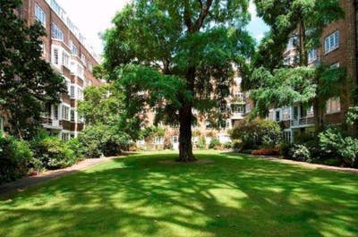SHORT LET: Quiet large dbl with communal garden Main Photo