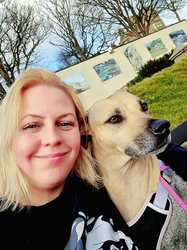 Rental for me and my lovely dog  Main Photo