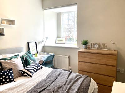Rhouse Rooms Built for Comfort & Style 💚🏡 Main Photo