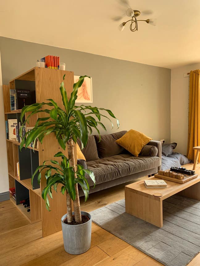 Double Room in friendly house 🌱 Main Photo