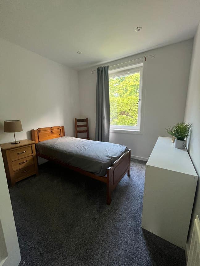 Lovely single room in a friendly house share Main Photo
