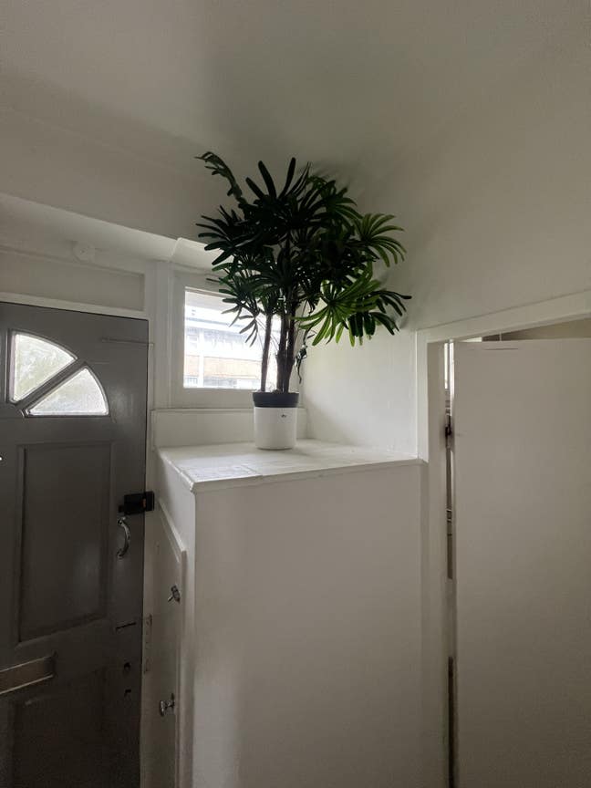 Guardianship: Studio Flat Located in Angel  Main Photo