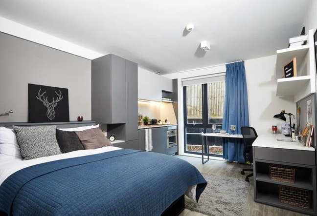 Luxury Studio | Near University of Southampton Main Photo