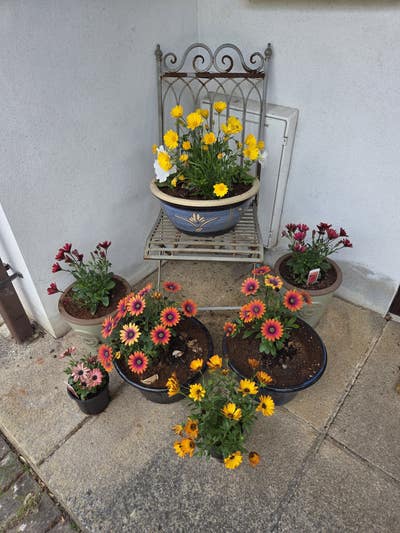 House share in amazing Ashburton Main Photo