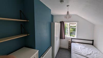 Lovely Home w/ Young Professionals. All Bills Incl Main Photo