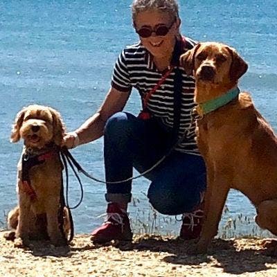 Relocating to Frome 31st March 2026 Main Photo