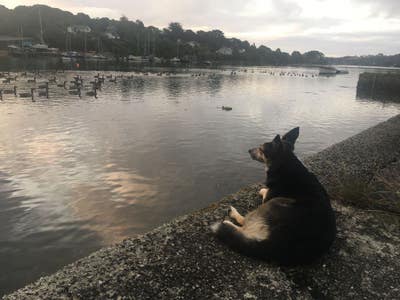 Double room in vegan creekside home  Main Photo