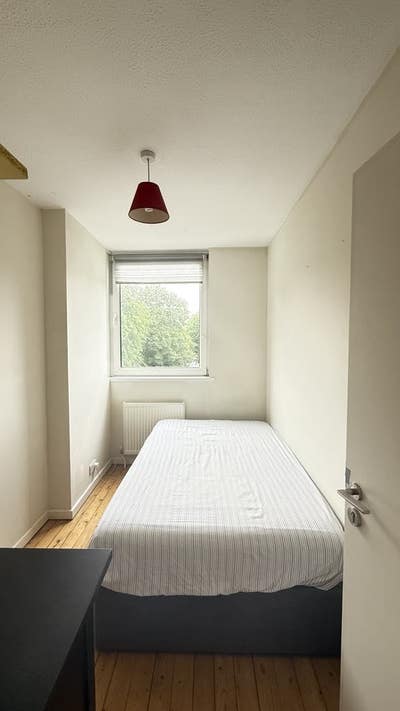 Room for Rent Main Photo