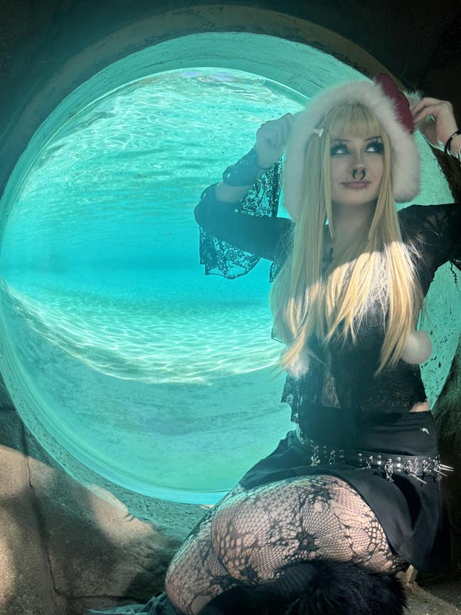 Urgent looking for a room in a shared house Main Photo