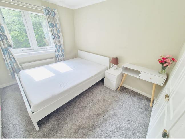 Double Room  for  Rent - Females Only! Main Photo