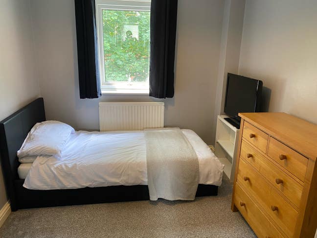 Single room for rent Main Photo